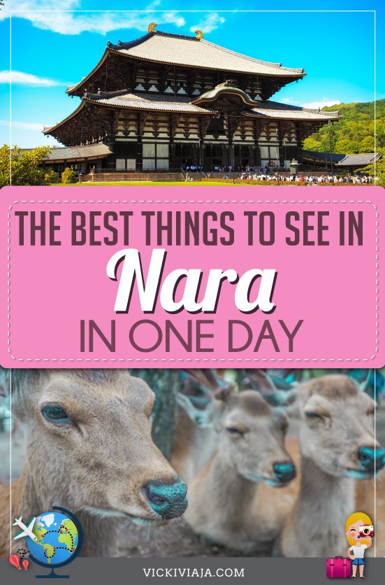 Nara day trip pin