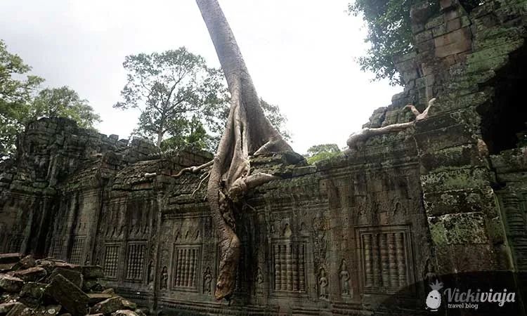 Preah Khan I Angkor I Siem Reap I Kambodscha