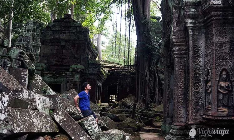 Ta Prohm I Thomb Raider Tempel I Kambodscha I Siem Reap