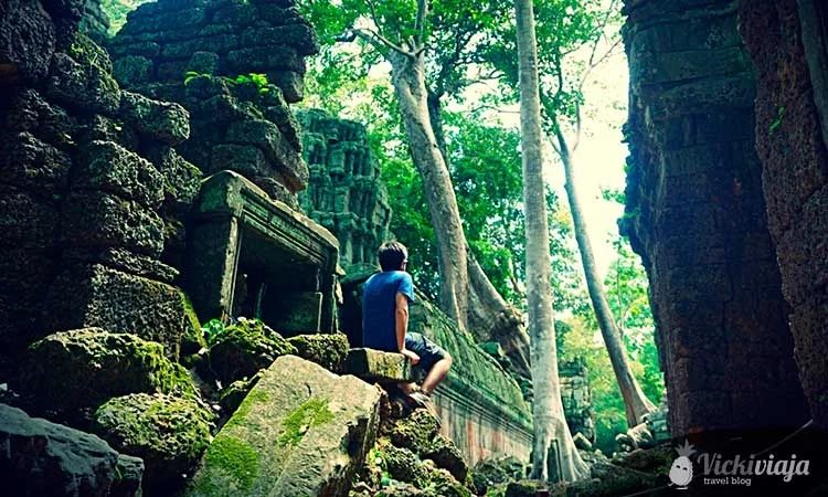 Ta Prohm I Thomb Raider Tempel I Kambodscha I Siem Reap