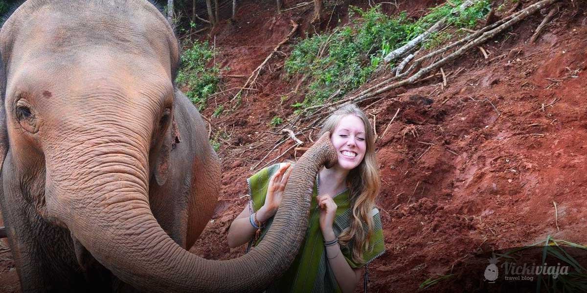 Elephant Sanctuary I Elefanten I Chiang Mai I Ausflug I Thailand I vickiviaja