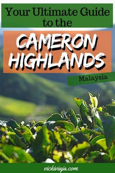 cameron highlands things to do pin