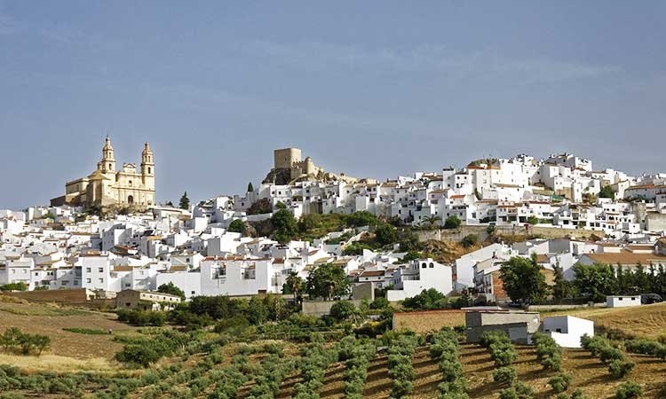 weißes Dorf in Andalusien umgeben von Olivenbäumen