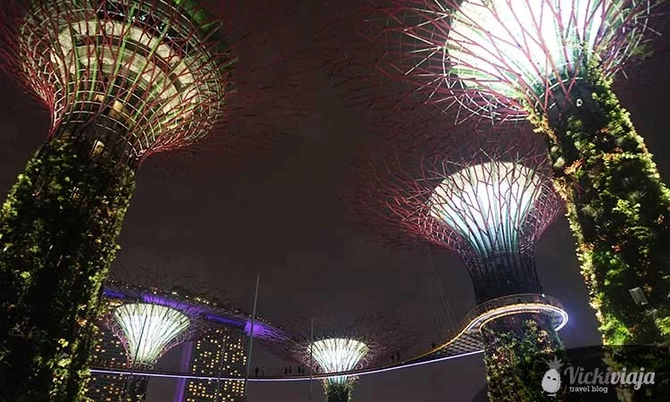 Super Trees, OCBC Skyway, Singapur, Gardens by the Bay, Bei Nacht