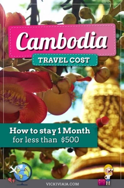 cambodia travel cost pin