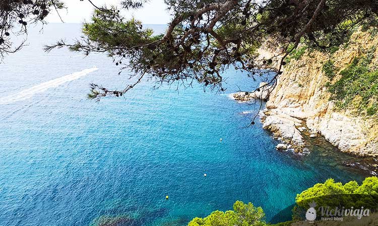 How to spend a great Tossa de Mar Day Trip from Barcelona or Girona