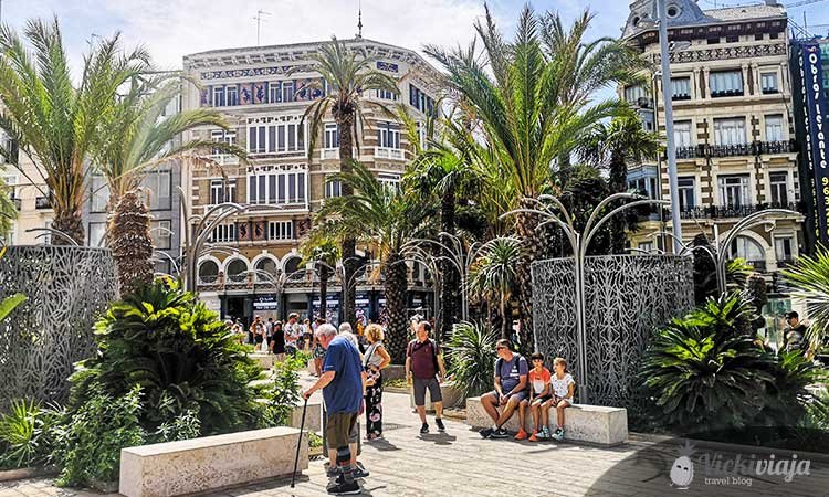 Plaza de la reina, Valencia, Palm trees in Valencian square