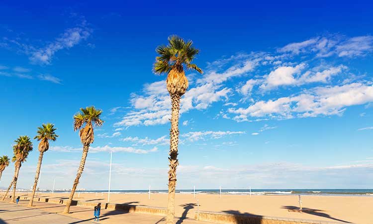 Malvarossa beach in Valencia, Valencian beaches, beaches with palm trees