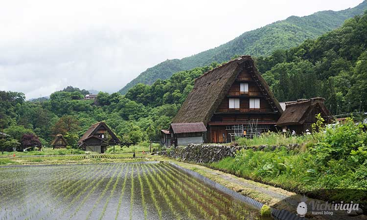 shirakawago day trip from Kanazawa, wooden houses in ogimachi
